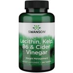 Swanson Lecithin Kelp B-6 & Cider Vinegar 240 tablet – Zboží Mobilmania