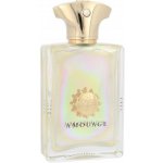 Amouage parfémovaná voda pánská 100 ml – Hledejceny.cz