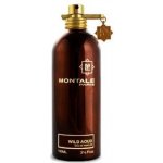 Montale Wild Aoud parfémovaná voda unisex 100 ml – Hledejceny.cz