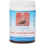 TCM Herbs Klenba malebného chrámu 100 tablet – Hledejceny.cz