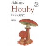 Houby – Sleviste.cz