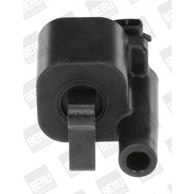Zapalovací cívka BorgWarner (BERU) ZS507 – Hledejceny.cz