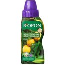 NohelGarden Hnojivo BOPON na citrusy gelové 250 ml