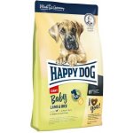 Happy Dog Supreme Adult Fit & Well Maxi 3 x 15 kg – Hledejceny.cz