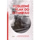 Poslední vlak do Istanbulu - Kulinová Ayşe