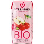 Hollinger Nektar jablko višeň bio 200 ml – Zbozi.Blesk.cz