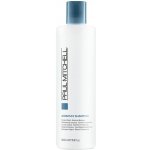 Paul Mitchell Awapuhi Shampoo 500 ml – Zbozi.Blesk.cz