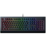 Razer Cynosa V2 RZ03-03400100-R3M1 – Hledejceny.cz