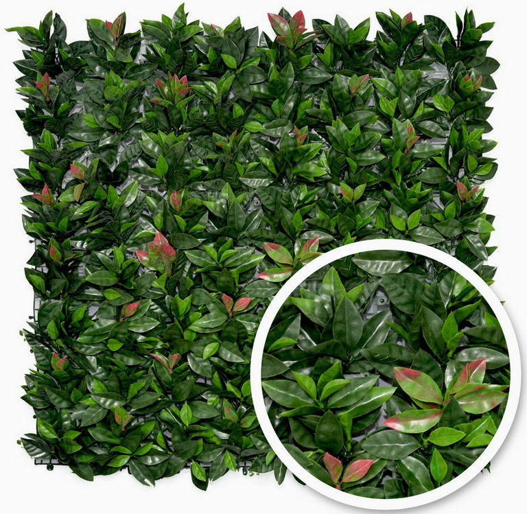 Umělý živý plot BUXUS BOBKOVIŠEŇ PREMIUM, 100x100cm, plocha 1m2