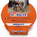 Pfiff Liz pro koně Horslyx mobility 0,65 kg – Zboží Dáma