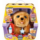 Cobi LITTLE LIVE PETS Moje vysněné štěňátko