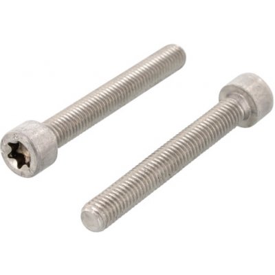 Nerezový šroub ISO 14579 A4 M 3X18 TX10 – Hledejceny.cz