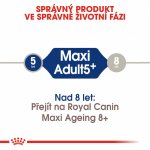 Royal Canin Maxi Adult 5+ 4 kg – Hledejceny.cz