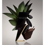 Carolina Herrera Bad Boy toaletní voda pánská 100 ml – Hledejceny.cz