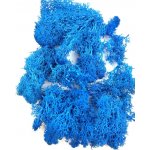 Stabilizovaný preparovaný mech lišejník do pryskyřice barevný 20 g Barva: Modrá – Hledejceny.cz