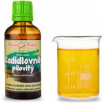 Bylinné kapky Kadidlovník pryskyřice tinktura 50 ml – Hledejceny.cz