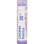 CALCAREA FLUORICA POR 30CH GRA 1X4G – Hledejceny.cz