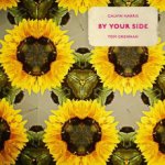 Calvin Harris & Tom Grennan - By Your Side Picture Disc LP – Zboží Mobilmania
