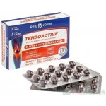 Reig Jofre Tendoactive 30 kapslí – Hledejceny.cz