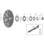 pastorek kazety Shimano XT 12s CS M8100 CS M9100 CS M7100 počet zubů 10 12 – Sleviste.cz