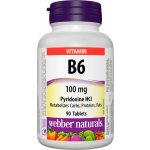 Webber Naturals Vitamin B6 100 mg 90 tablet – Hledejceny.cz