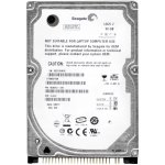 Seagate 80GB PATA IDE/ATA 2,5", ST980210A – Zbozi.Blesk.cz