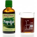 Pavlovy bylinné kapky Papája tinktura 50 ml – Hledejceny.cz