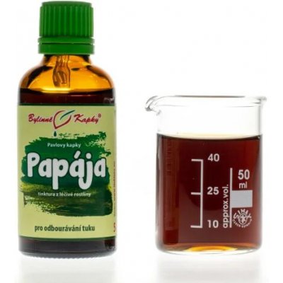 Pavlovy bylinné kapky Papája tinktura 50 ml – Hledejceny.cz
