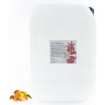 PM Aqualog esence do parních kabin citrus 813-010/D 10 l – Hledejceny.cz