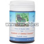 TCM Herbs Kameny z údolí Šaolin 100 tablet – Hledejceny.cz