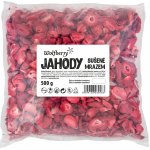 Wolfberry Jahody sušené mrazem 20 g – Hledejceny.cz