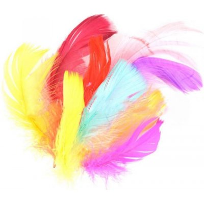 Peří v sáčku 10g mix barev – Zboží Dáma