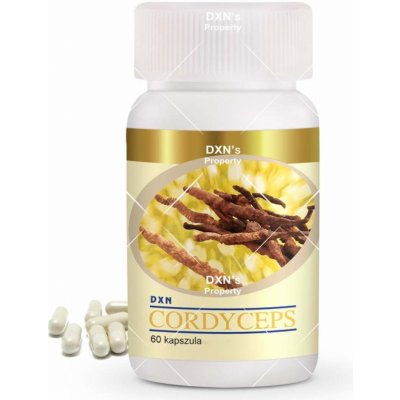 DXN Cordyceps housenice 60 kapslí – Hledejceny.cz