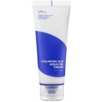 Isntree Hyaluronic Acid Aqua Gel Cream 100 ml – Zboží Dáma