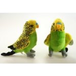 Andulka žlutá – Zboží Dáma