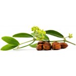 Art Made 1000 ml jojobový olej – Sleviste.cz