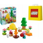 LEGO® DUPLO® 10452 Prasátko Peppa Táboření – Zboží Živě