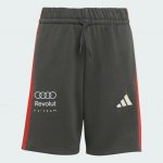 adidas dětské šortky AUDI REVOLUT F1 TEAM DNA černá – Hledejceny.cz