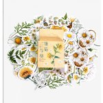 Sada samolepek - Kvetoucí rostliny (46ks) – Zboží Živě