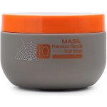Masil 10 Premium Repair Hair Mask 300 ml – Zboží Dáma