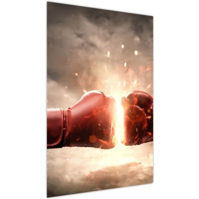 Obraz - Boxing, jednodílný 60x90 cm – Hledejceny.cz