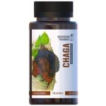 Mushroom Pharmacy ČAGA 120 tablet – Hledejceny.cz