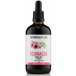 Botanicals 4 Life Bylinná tinktura z extraktů echinacey a olivových listů 50 ml – Hledejceny.cz