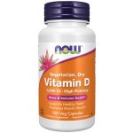 NOW Foods Vitamín D 1000 IU 120 kapslí – Hledejceny.cz
