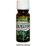 Saloos esenciální olej Eukalyptus Austrálie 50 ml – Hledejceny.cz