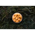 LK Baits Pop-up ReStart ICE Vanillie 200ml 18mm – Zbozi.Blesk.cz