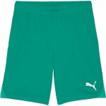 Puma teamGOAL Shorts – Zboží Dáma