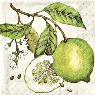 Ubrousek 33x33cm Citrony – Sleviste.cz