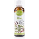 Serafin tinktura z bylin Hloh 50 ml – Zbozi.Blesk.cz