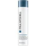 Paul Mitchell Awapuhi Shampoo 300 ml – Hledejceny.cz